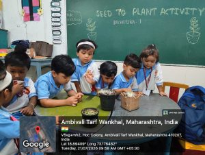 Seed to Plant Activity (Class Balvatika 1) 2026-27
